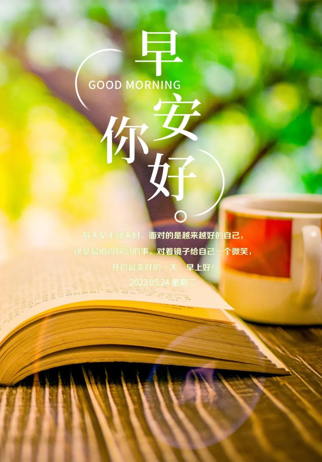 最新人生感悟分享，心靈觸動的話語
