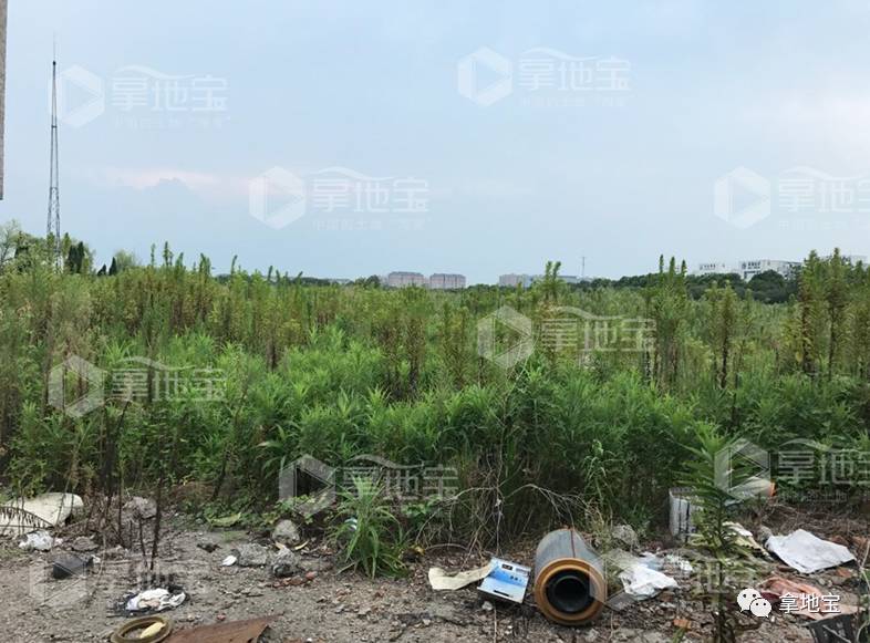余姚姚北新城，最新發(fā)展動態(tài)與未來展望
