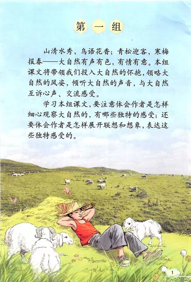 關于語文教材下載的深度探討與解析