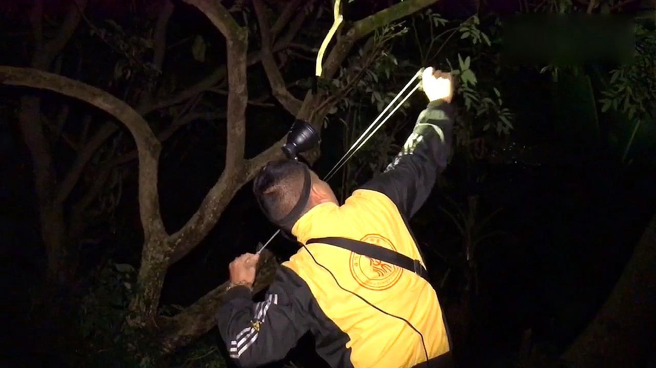 探索彈弓射擊的樂趣與挑戰(zhàn)，最新夜晚打鳥彈弓視頻