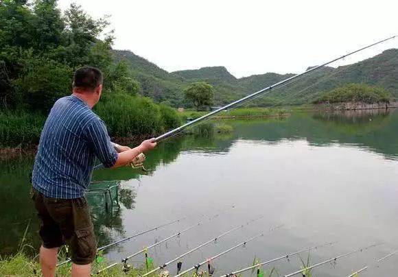 白塔湖釣魚最新魚情深度解析