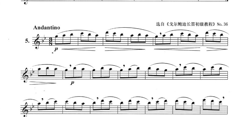 長笛曲的魅力與下載體驗(yàn)分享