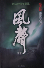 風(fēng)聲小說在線閱讀，文學(xué)世界的魅力之旅探索
