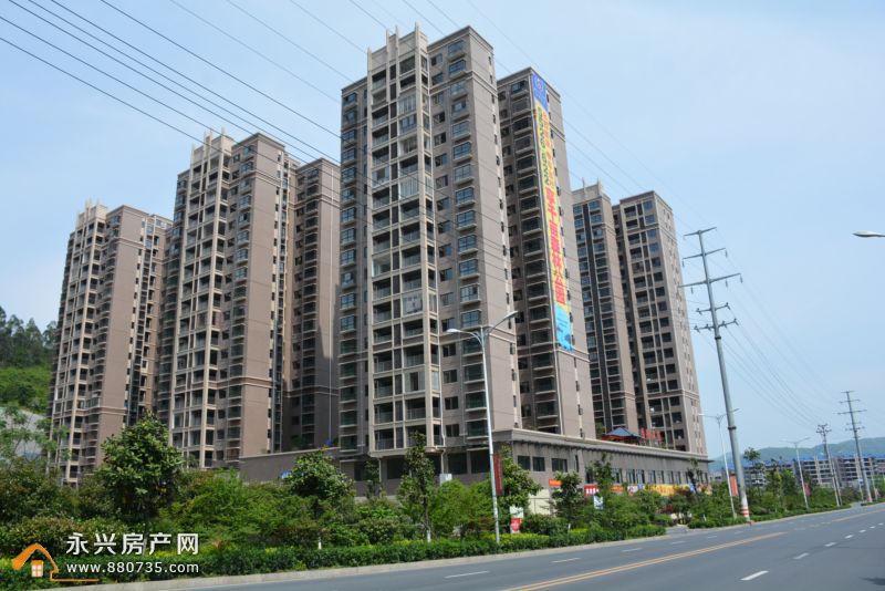 永興房?jī)r(jià)最新動(dòng)態(tài)，市場(chǎng)走勢(shì)分析與預(yù)測(cè)