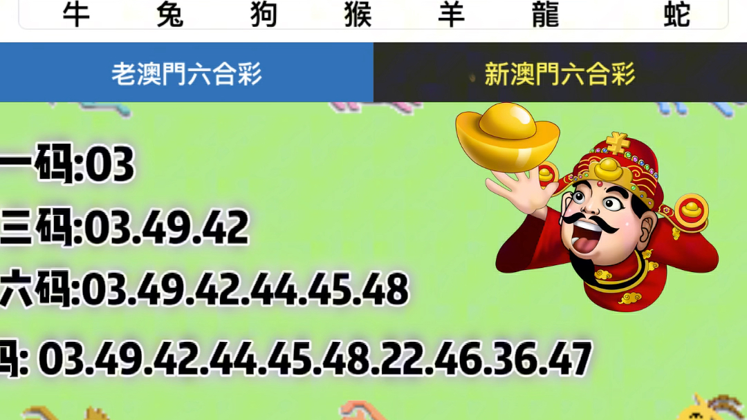 新澳門六開獎結(jié)果記錄｜精選解釋解析落實
