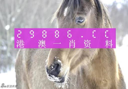 澳門一肖一碼100準(zhǔn)免費(fèi)資料｜精選解釋解析落實(shí)