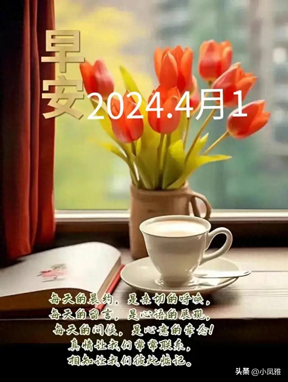 2024年天天彩免費資料｜精選解釋解析落實