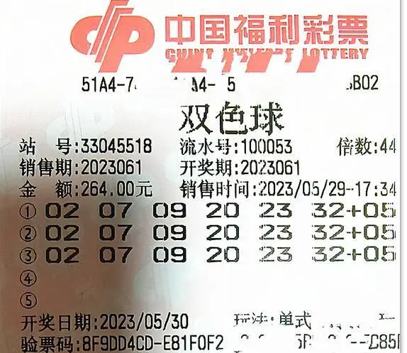 新澳門2024年今晚開獎(jiǎng)結(jié)果查詢｜最新答案解釋落實(shí)