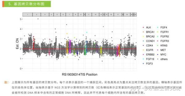 MSS66最新網(wǎng)站，探索前沿科技，領(lǐng)略創(chuàng)新魅力