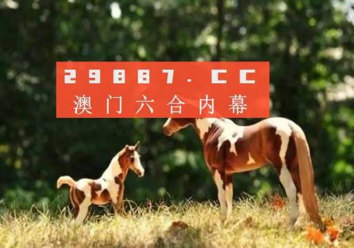 四不像今晚最準(zhǔn)確一肖｜多元化方案執(zhí)行策略