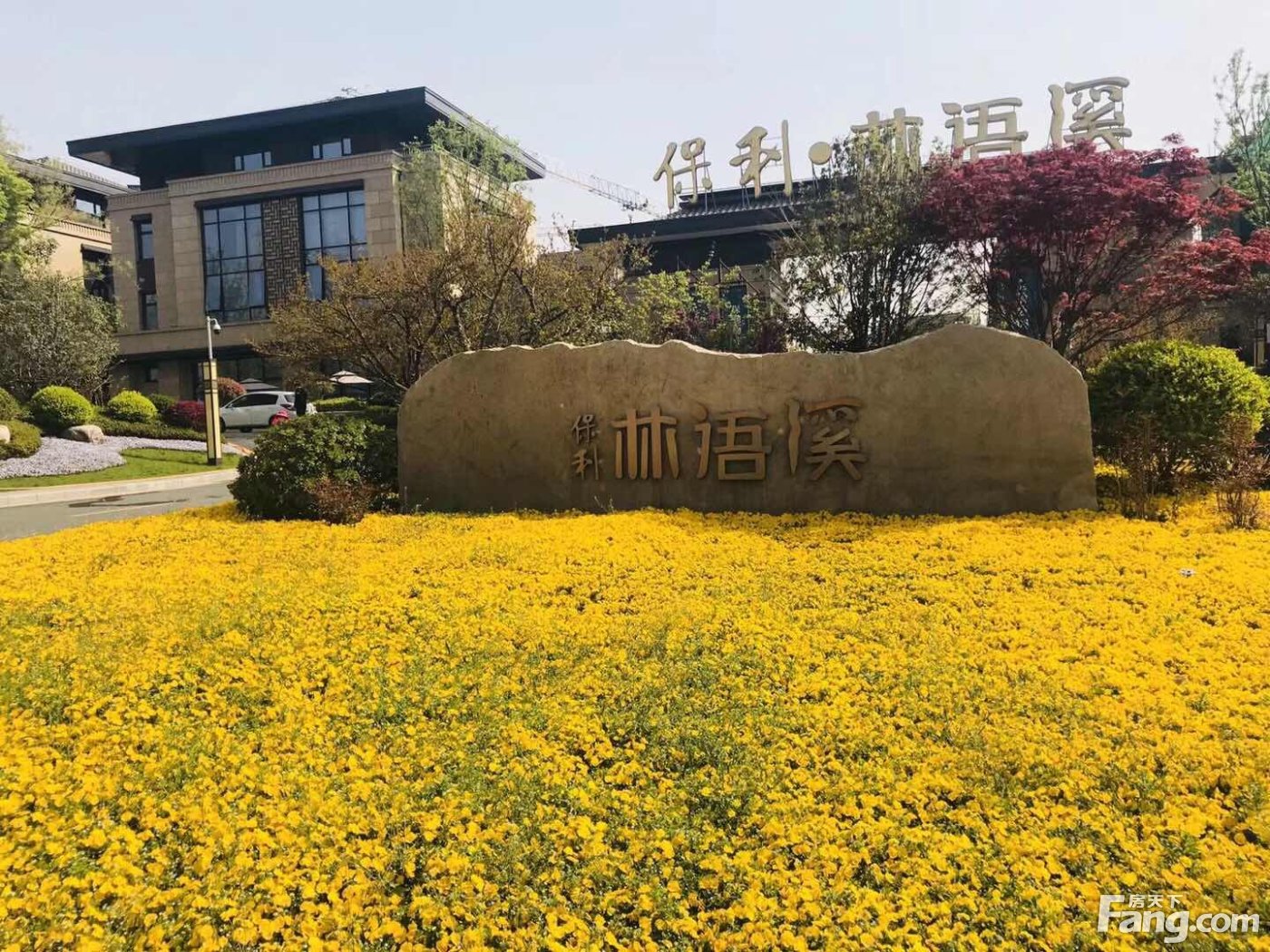 林語溪岸新篇章揭曉，最新動態(tài)展現(xiàn)新生活