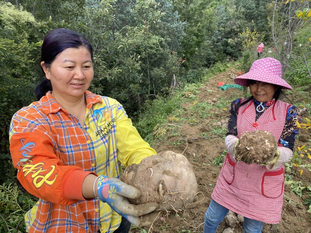 鹽邊縣最新新聞動態(tài)更新