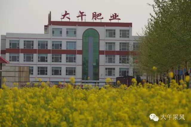 徐水大午最新招聘信息,徐水大午最新招聘信息概覽